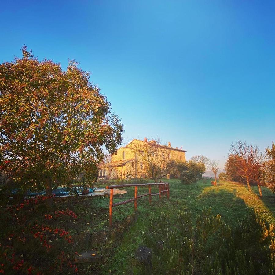Alloggio per agriturismo La Falconara *