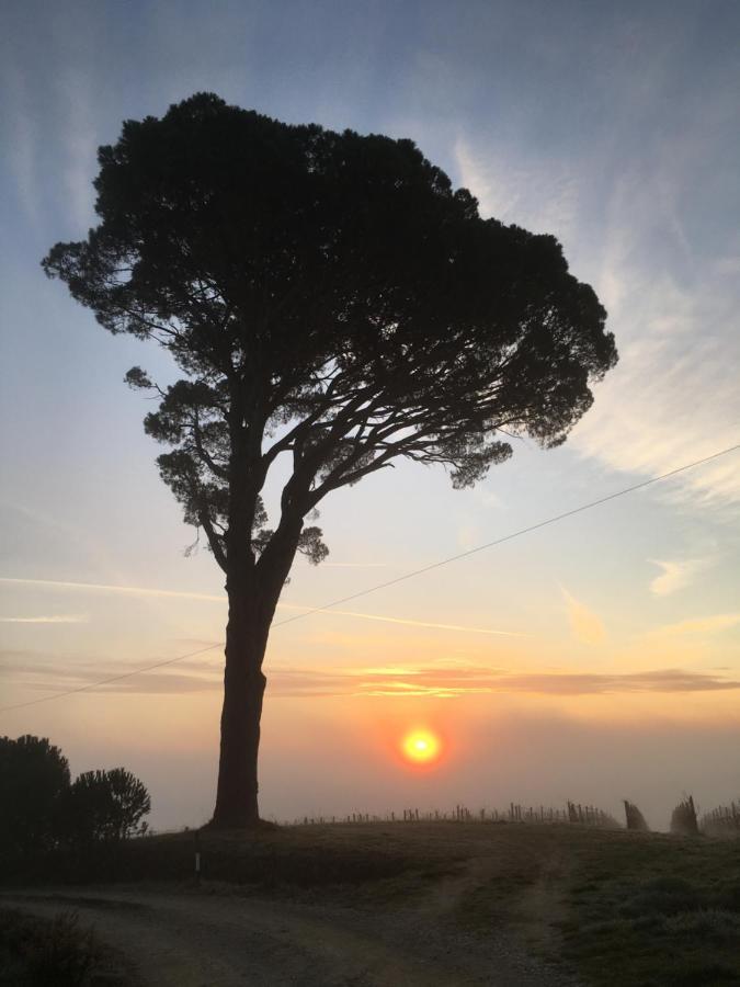 La Falconara