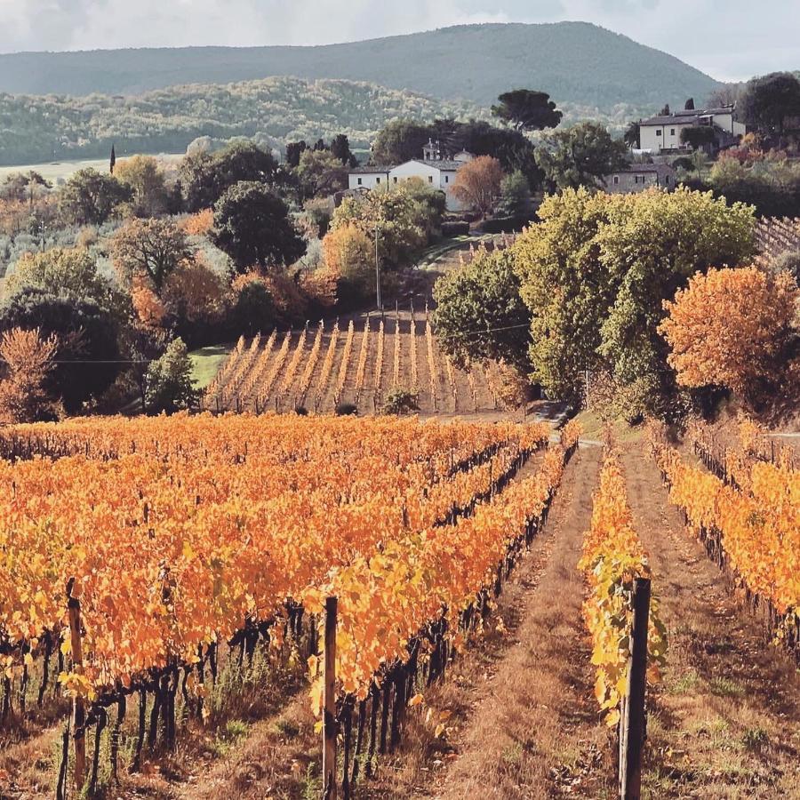 Alloggio per agriturismo La Falconara Montepulciano Stazione
