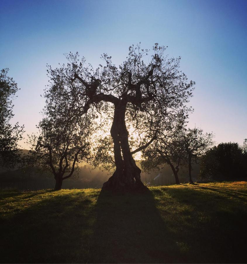 Alloggio per agriturismo La Falconara