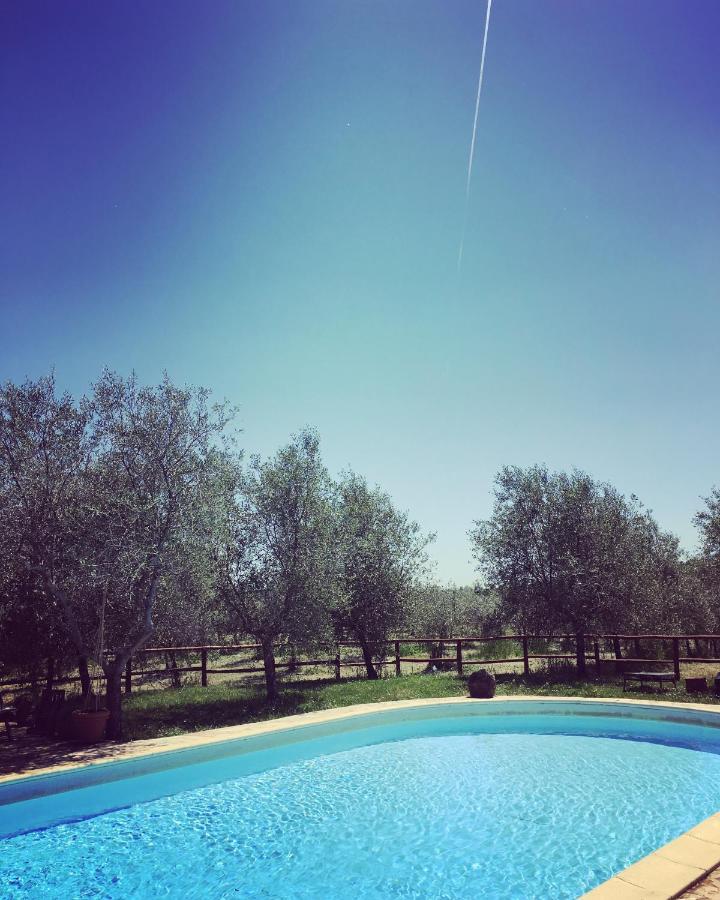Farm stay La Falconara *