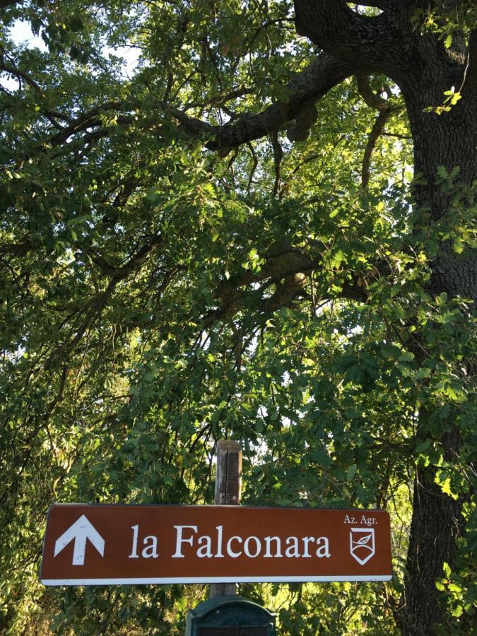 La Falconara Montepulciano