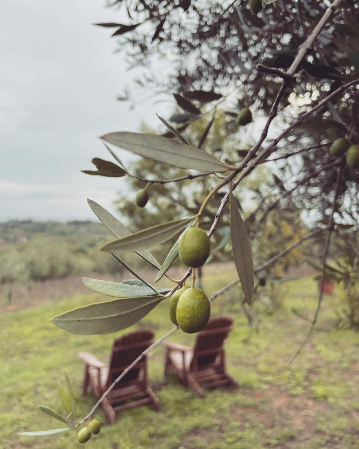 La Falconara
