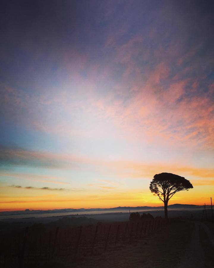 Farm stay La Falconara Montepulciano