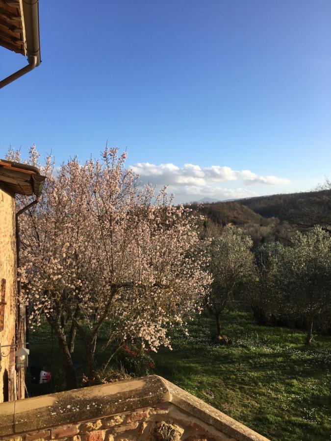 La Falconara * Montepulciano Stazione