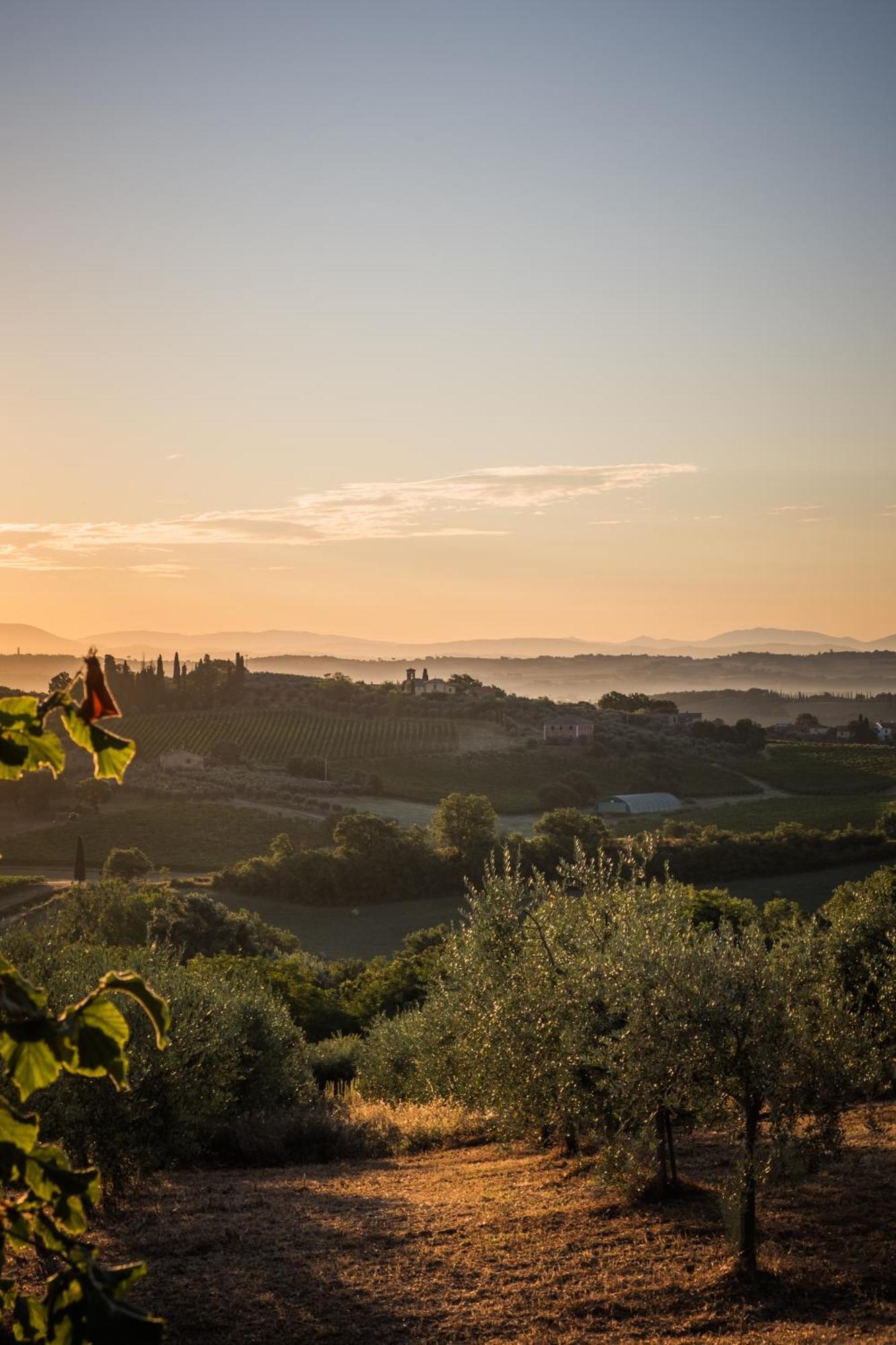 Farm stay La Falconara