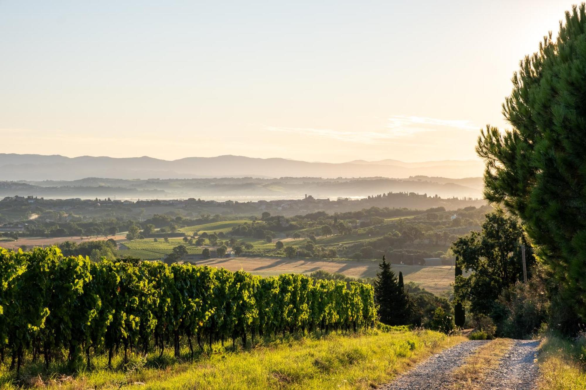 Alloggio per agriturismo La Falconara Montepulciano Stazione