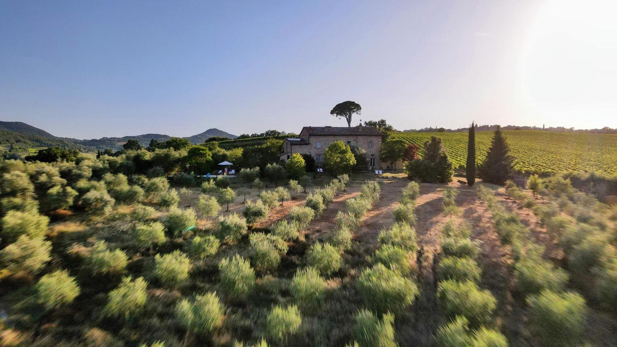Farm stay La Falconara *