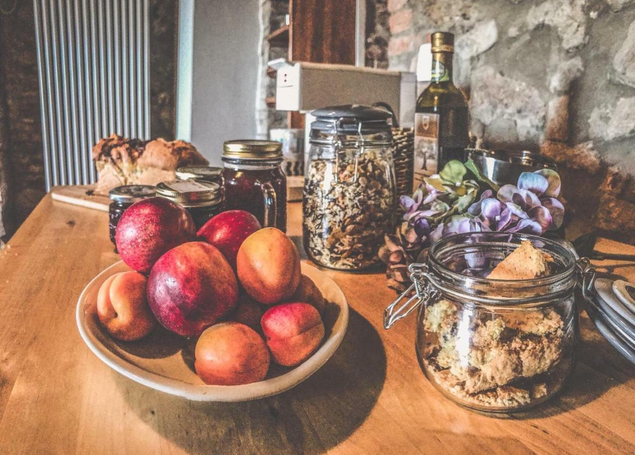 Farm stay La Falconara *